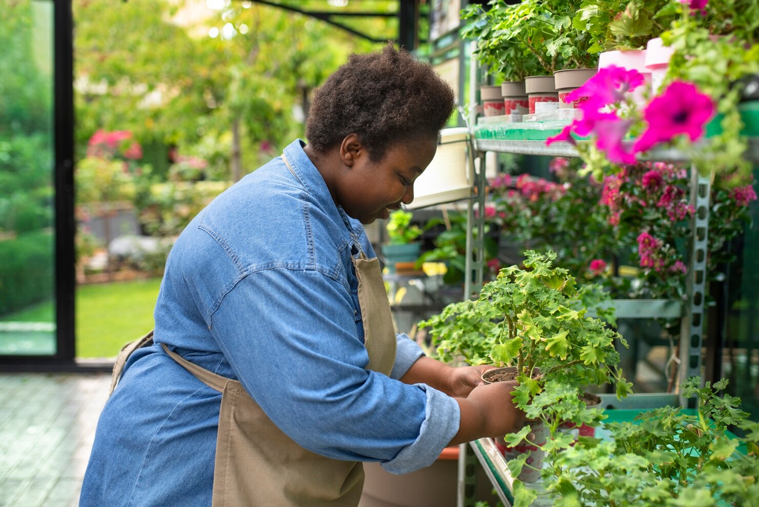 Accompagnement des Producteurs de Plantes Médicinales